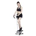 Stepper,Mini-Swing Step Machine with Safety Armrest and Smart Dial Twist Stair Steppe Workout Fitness Machine for Home Aerobic Exercise