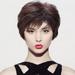 ERTUTUYI Wigs Women S Wig Short Hair Curly Hair Middle and Old Age Fashionable and foreign Mother S Wig Natural and Lifelike Mother S Hair