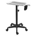 Gazechimp Salon Trolley with Wheels Beauty Equipment Cart for SPA with Hairdryer Stand argent