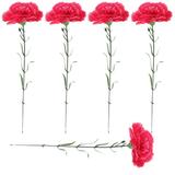 5 Pcs Rustic Touch Artificial Flower Simulation Carnation Decor Red Flowers Funeral Arrangements Mother Single Branch Plastic