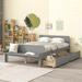 Solid Wood Twin/Full Size Kids Bed, Storage Bed with Featuring a Footboard Bench in Elegant and Two Drawers Grey/White