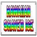 18 x 48 in. Banner Sign - Hawaiian Shaved Ice - Hawaian Signs Sno Snow Cone Cold Flavored