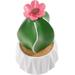 Artificial Potted Plant Plants Decor Large Succulents Mini Faux Figurine Collectibles Cactus Resin