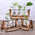 Vases de plantes hydroponiques vintage vase en verre pot de fleur bonsaï terrarium cadre en bois