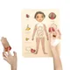 Puzzles de corps en bois pour enfants ensemble de jeu d'anatomie pour filles de 3 à 6 ans modules