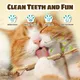 Bâton polygone naturel herbe-aux-chats jouet pour chat nettoyage des dents collations molaires