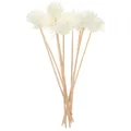 Petits bâtons de roseau de rotin parfumés au chrysanthème diffuseur de parfum naturel diffuseur