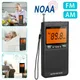 Mini radio météo portable AM FM NOAA excellente réception grand écran LCD réveil numérique radio