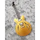 Guitare électrique 6 cordes touche en palissandre peinture dorée accessoires en argent frais