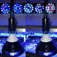 LED Aquarium Light Pet Lamp Plant Bulb 50/54W for Saltwater Marine Moral Reef Sump Algae Nano Tank