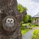 Resin Owl Sculpture Tree Ornament 7x2x7inch Water Resistant for Garden Trees or Wall Easily Install