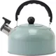 New White Spray Painted Whistle Kettle Gas Stove Kettle for Boiling Water 3L Teapots to Boil Water