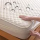 Waterproof Quilted Mattress Protector Breathable Non Slip Mattress Cover Noiseless Anti-bacterial