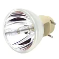 Compatible W1070 W1070+ W1080 W1080ST HT1085ST HT1075 W1300 Projector Lamp Bulb 240/0.8 E20.9N For