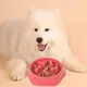 A plastic solid color bone pet dog slow food bowl for indoor use
