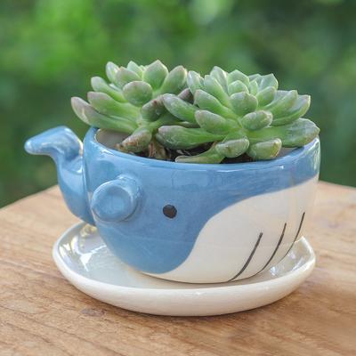 'Hand-Painted Whale-Shaped Ceramic Mini Flower Pot and Saucer'