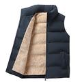 Men's Fleece Vest Gilet Daily Wear Vacation Going out Fashion Basic Spring Fall Button Polyester Comfortable Plain Single Breasted Standing Collar V Neck Regular Fit Black Red Navy Blue Vest