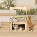 Tucker Murphy Pet™ Cat nest cat swing A Cat House Combo w/ Cat Hammock & Comfort Home | Wayfair 56D09A99080247E399DCDC628C831557
