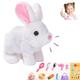 ZTMHRG Interactive Rabbit Toy Suit, Pet Plush Rabbit Toy with Sound, Can Run, Wiggling Ears, Rabbit Hopping Game, Easter Basket Filler,B