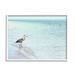 Stupell Industries Heron On Coastline by Christine Zalewski Canvas | 11 H x 14 W x 1.5 D in | Wayfair az-964_wfr_11x14