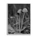Stupell Industries Bb-072-Framed Forest Mushroom Photography by Lil' Rue Wood in Black/Brown/White | 20 H x 16 W x 1.5 D in | Wayfair