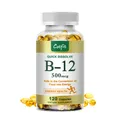 Catfit-Capsules de Vitamine B12 Soutient le Mardi olisme Énergétique Système Nerveux Cellule
