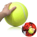 Animal de compagnie chiot formation balle chien jouet interactif amusant balle de tennis jouet pour