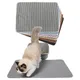 Cat Litter Mat Double Layer Waterproof Non-slip Cat Toilet Pad Washable Bed Mat Pet Mat Nonslip Sand