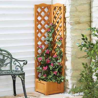 Wooden Trellis Planter H135 X W32 X D32cm, Perfect for Climbing Flowers, Fits in the Corner