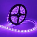 Halloween Purple Strip Light LED UV Black Light Strip Purple LED Light Strip USB Interface with Switch or Battery Box SMD2835 380-400NM UV LED No-waterproof Black Light Lamp