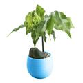 npkgvia Plant Pots Gardening Supplies Mini Colourful Round Plastic Plant Flower Pots Home Office Decor Planter Planters for Indoor Plants Flower Pots