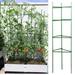 JIASEN Green Bamboo Plant Stakes Garden Stakes 12.6 Inch 12 PCS Wood Stakes for Garden/Vegetables/Floral Bamboo Plant Support