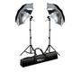 Ex-Pro Continuous Dual [2 units] Photography Lighting kit including 85w (Eqiv 500w), stands, brackets & Umbrella - Black & Silver