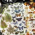 3 Pcs Wild Plants Mushroom Butterfly Stickers PET Vintage Stickers For Scrapbooking Journal Album