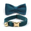 Collier de luxe en velours vert émeraude pour chat avec nom personnalisé pour petits chiens avec