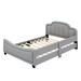 Winston Porter Esqueda Daybed Plastic in Gray | 34 H x 56.3 W x 80 D in | Wayfair 491E31916450438BA993FA43B7C82195