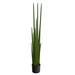 Primrue 60" Faux Snake Plant Grass Plastic | 60 H x 9 W x 9 D in | Wayfair 5D93BB0191CB411E8936008C69D748C6