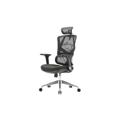 SIHOO Bürostuhl Schreibtischstuhl ergonomisch, Lordosenstütze hohe Rückenlehne 3D-Armlehnen ~ gepolstert schwarz Image