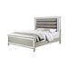 Benjara Cristo Queen Size Bed, Gray Fabric Upholstery, Champagne Wood | 60 H x 63 W x 86.5 D in | Wayfair BM307282