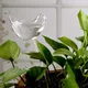 Automatic Plant Waterer Imitation Bird Shaped Transparent Dripper Plant Pot Bulb PVC Garden House