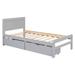 Harriet Bee Modern Design Size Platform Bed Frame w/ 2 Drawers For Walnut Color in Gray | Twin | Wayfair 47C4742F3D8842E8B693B36E81698639