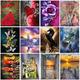 5D Diy Diamond Painting Cross Stitch Kits Diamond Mosaic Embroidery Full Set Landscape Animals 3D Painting Full Round&Square Drill Gifts