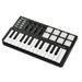 WORLDE MIDI controller Midi Pad Portable 25-key Usb And Drum Pad 25-key Usb And Siuke Pad Mewmewcat Panda Portableni 25-key U-sb 25-key U-sb And Pandani Portableni 25-key Midi Shilijia-01 0