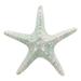 Ebros Large Ocean Coral Sea Star Shell Starfish Statue 8 Long Nautical Coastal Themed Decor for Wedding Beach Party Home Decorations DIY Crafts Fish Tank Collectors