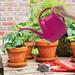 Deyared Kettle Teapot Watering Can Plant Watering Can Watering Can 1 Gallon Long Spout Watering Can Flower Patterns Indoor Watering Can With Handle Plastic Watering Can For Garden Plants on Clearance