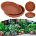 Dsseng 5pcs Plant Saucer Kit 6 8 10 12Inch Plastic Plant Trays Flower Plant Pot Tray Waterproof Sturdy Drip Trays Sturdy Thicker for Garden Indoor Outdoor Pots Planter