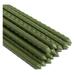 Mr Garden Sturdy Steel Garden Stakes 5-Ft Plastic Coated Plant Stakes 20Packs for Climbing Plants