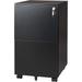 FJU 2-Drawer Mobile File Cabinet with Lock Commercial Vertical Cabinet in Black