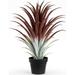 YGDU Hyper Realistic Big Red Artificial Aloe Vera Plant 26 Inches Tall. Large Faux Agave in Matte Black Pot.