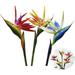 3 Pcs Large Bird of Paradise 31 Inch Permanent Flower No Fade Flower Part is Made of Soft Rubber PU Artificial Flower Plants for Home Office Flower Stem 0.3